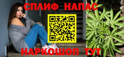 Альфа ПВП Будённовск