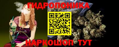 Альфа ПВП Будённовск