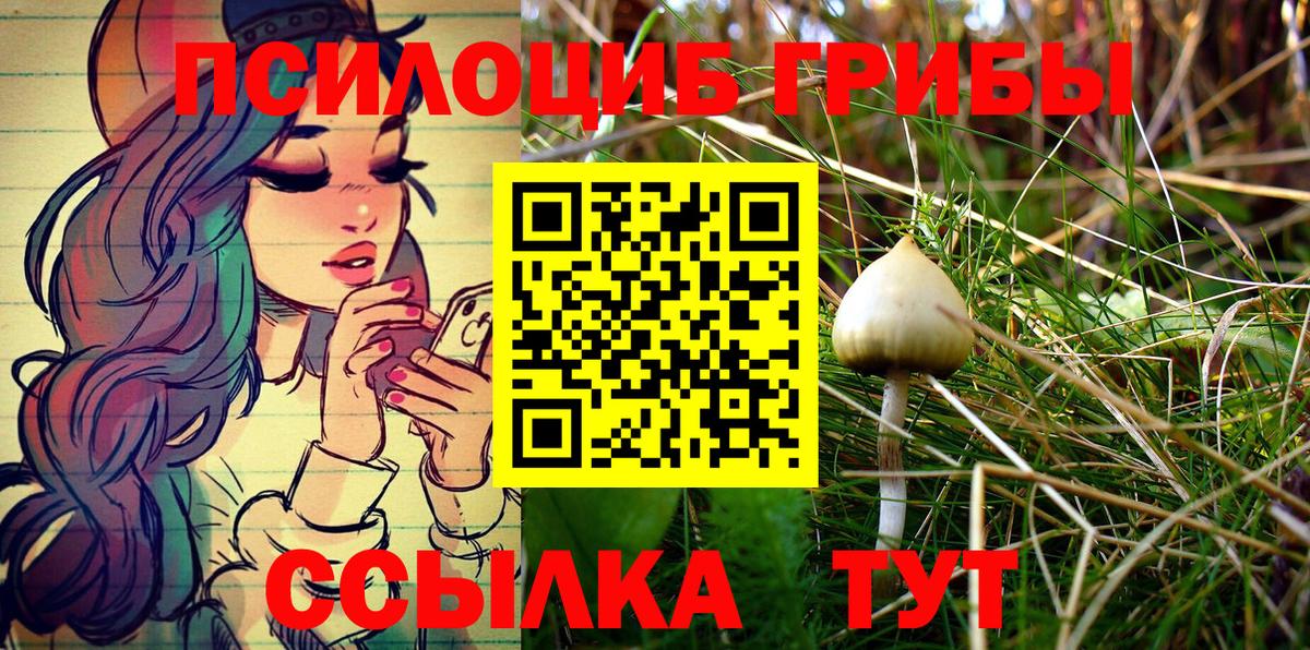 Галлюциногенные грибы ЛСД Старая Русса