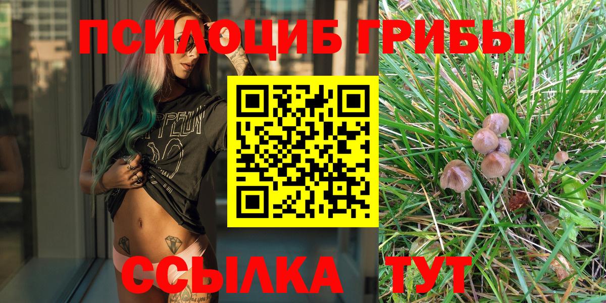 сколько стоит  Псилоцибиновые грибы ЛСД  Вход с VPN  Галлюциногенные грибы Psilocybe  Старая Русса 